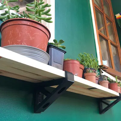 Kệ Treo Tường Trang Trí Cây Cảnh