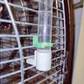 Giá đỡ bình nước cho lồng vẹt - Thumbnail 1