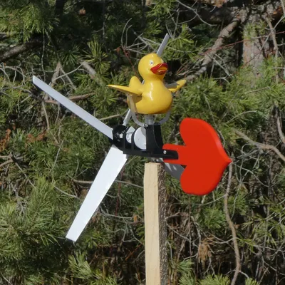 Vịt tập bay - con quay gió 100% in 3D