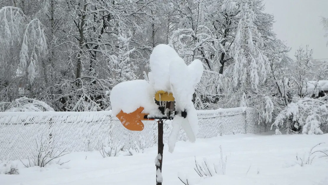 Vịt tập bay - con quay gió 100% in 3D - Image 4