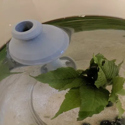 Khay Cho Tôm Ăn Nổi