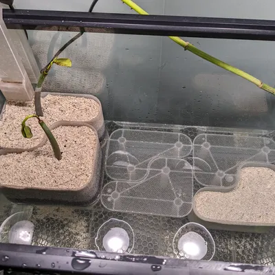 Rổ Trồng Cây Thủy Sinh Modun (cho cây mắm trong bể nước lợ có thủy triều)