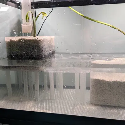 Rổ Trồng Cây Thủy Sinh Modun (cho cây mắm trong bể nước lợ có thủy triều)