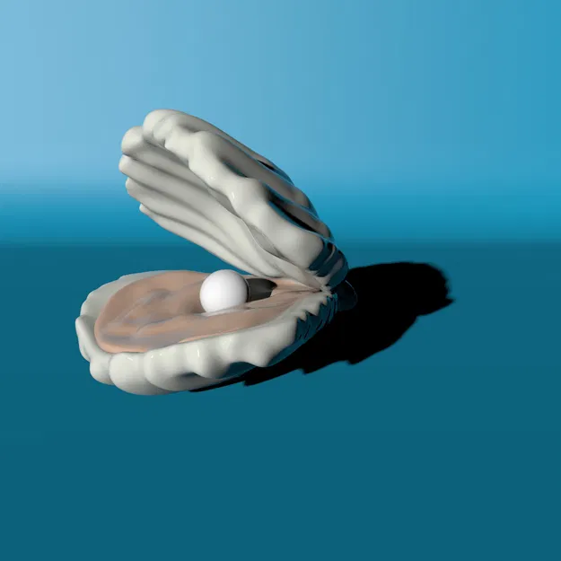 Vỏ Sò Có Ngọc Trai - Image 2