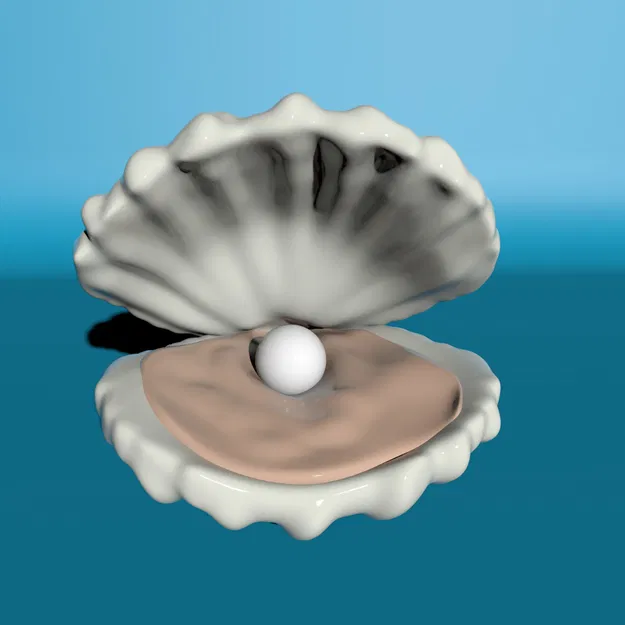 Vỏ Sò Có Ngọc Trai - Image 4