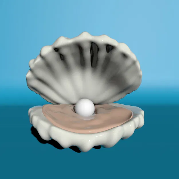 Vỏ Sò Có Ngọc Trai - Image 5