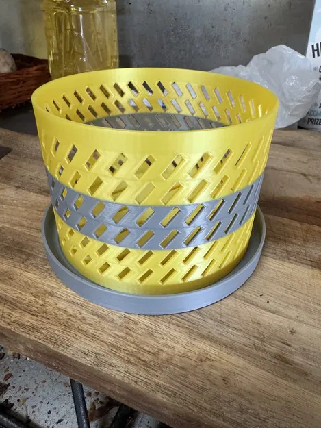 Chậu Lan và Đế - Image 1