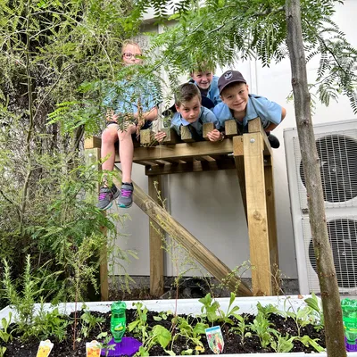 Phụ kiện ăn ong tuyệt vời phiên bản gốc - Cải tiến ổn định