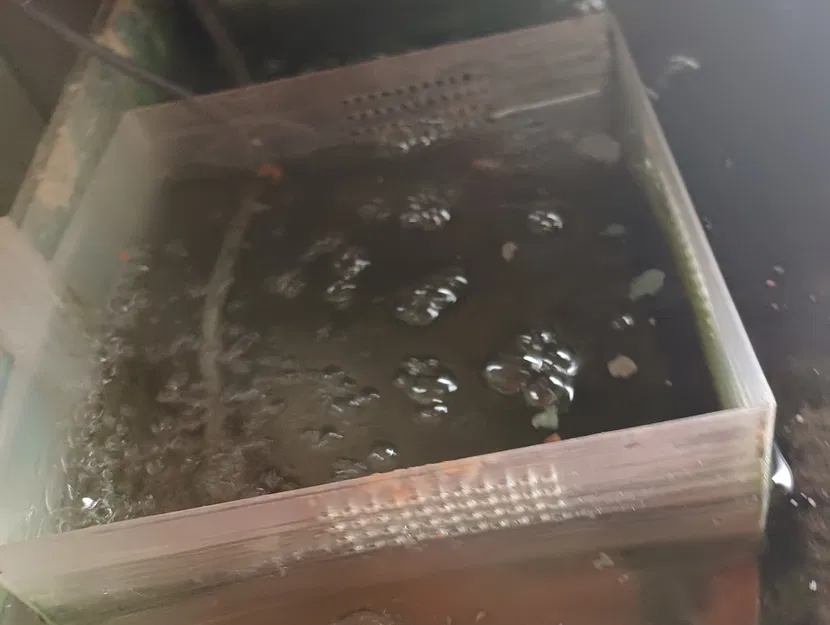 Nôi Nuôi Cá Con - Nuôi Cá Con Bên Ngoài Hồ Cá - Image 1