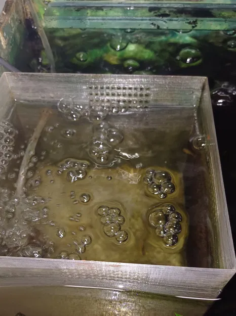 Nôi Nuôi Cá Con - Nuôi Cá Con Bên Ngoài Hồ Cá - Image 2