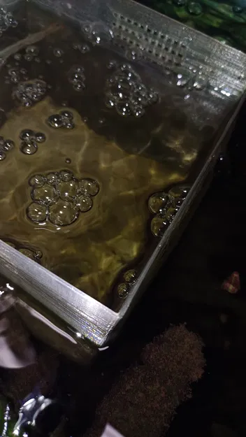 Nôi Nuôi Cá Con - Nuôi Cá Con Bên Ngoài Hồ Cá - Image 3