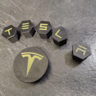 Chụp Ốc Vặn Lốp Tesla In 2 Màu