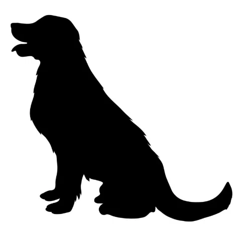 Mô hình 3D Bốn Chú Chó Dễ Thương - Image 4