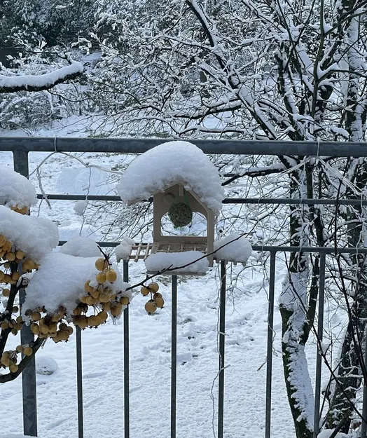 Nhà Chim (Vogelhaus) Phong Cách Bauhaus - Image 2