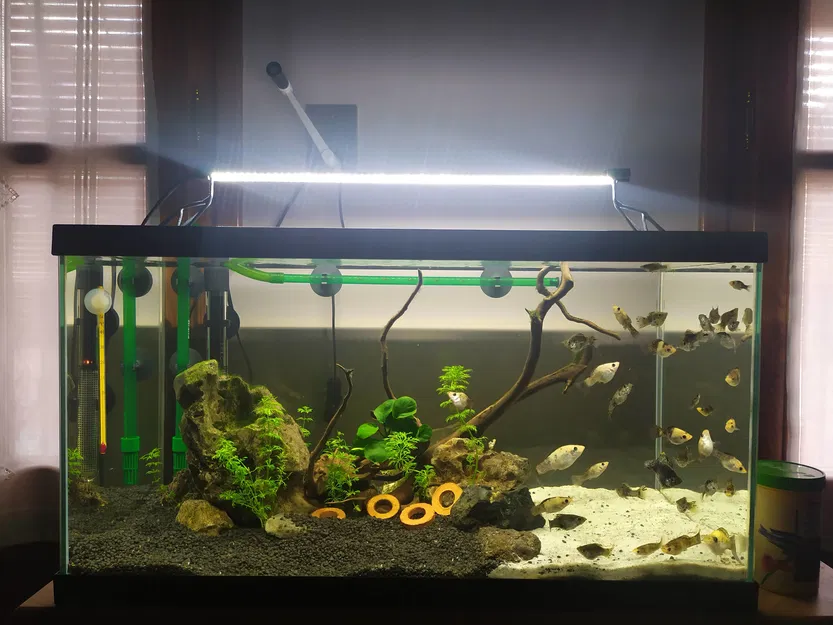 CHÂN ĐÈN CHO BỂ CÁ / TERRARIUM - thiết kế sinh tạo - Image 3