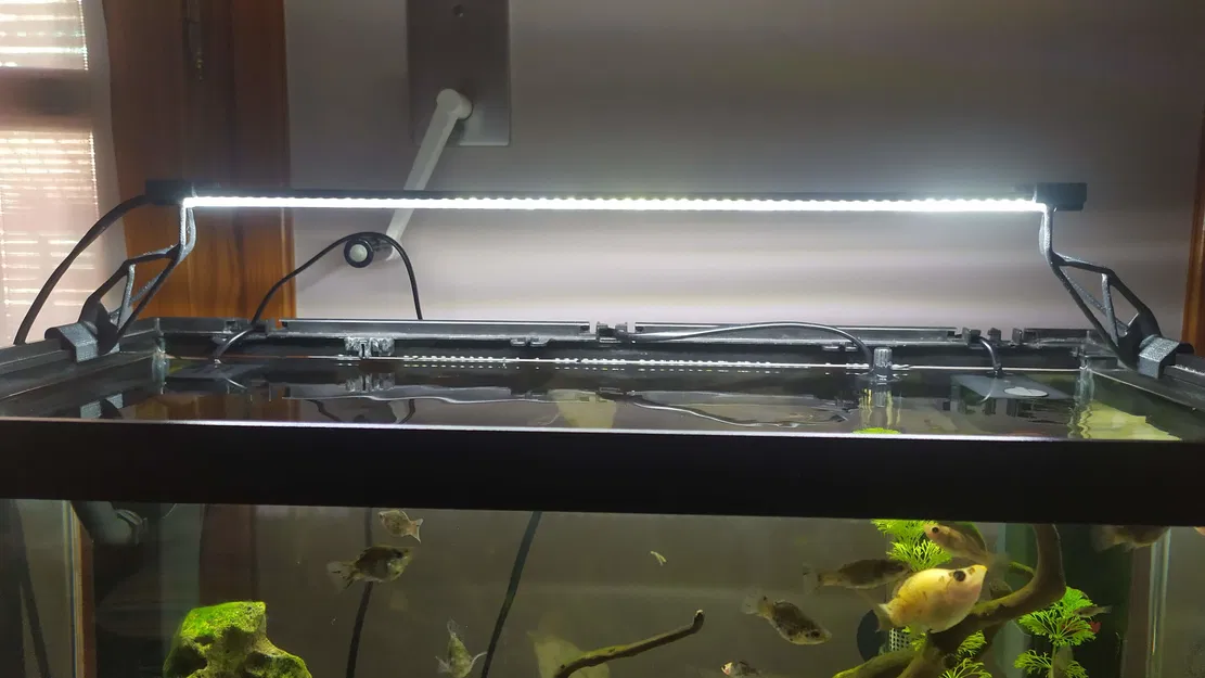 CHÂN ĐÈN CHO BỂ CÁ / TERRARIUM - thiết kế sinh tạo - Image 4