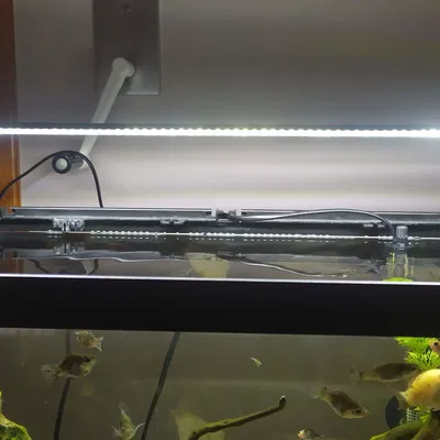 CHÂN ĐÈN CHO BỂ CÁ / TERRARIUM - thiết kế sinh tạo