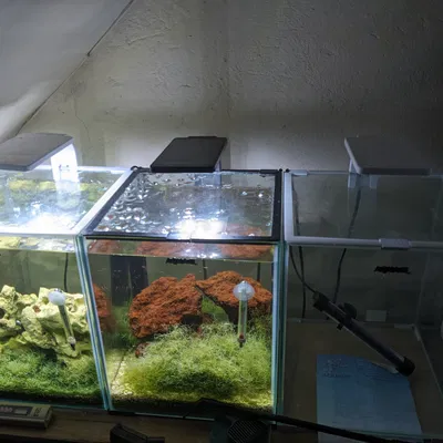 Seal Nắp Hồ Cá AquaEl