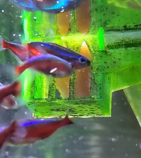 CƠM CHO THỨC ĂN ĐÔNG LẠNH TỐT NHẤT - Image 1