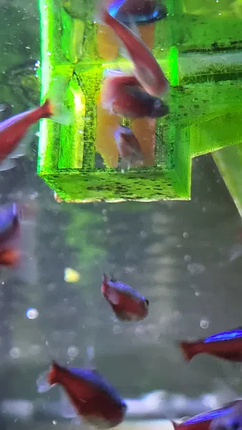 CƠM CHO THỨC ĂN ĐÔNG LẠNH TỐT NHẤT - Image 3