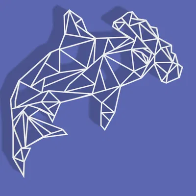 Cá Mập Đầu Búa Hình Học