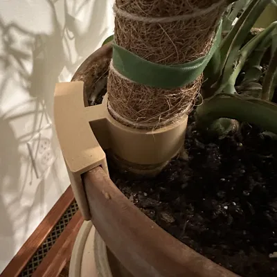 Trụ Rêu Hỗ Trợ Chậu Cây Monstera