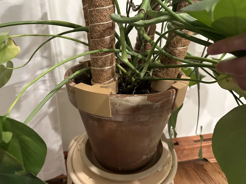 Trụ Rêu Hỗ Trợ Chậu Cây Monstera - Image 2