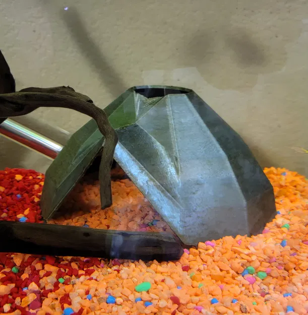 Nhà cá/Hang bò sát - Image 1