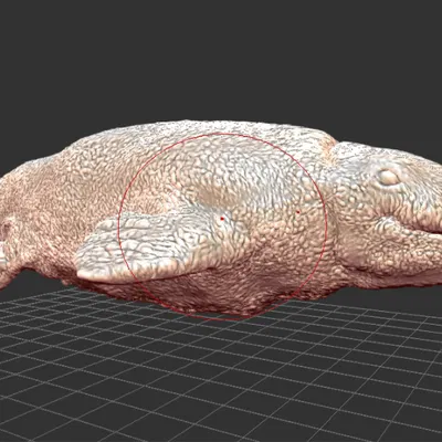 Mô hình 3D Tylosaurus