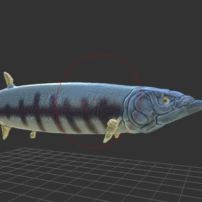 Mô hình Saurodon - Cá từ kỷ Phấn Trắng