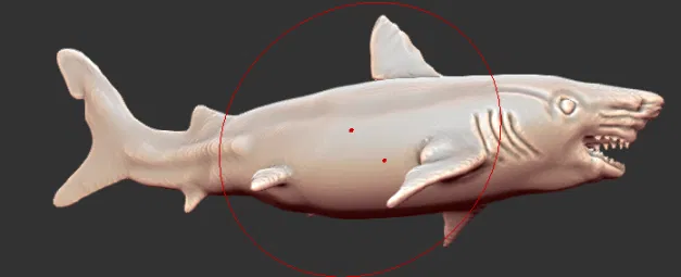 Squalicorax - Chi Cá Mập Thời Kỷ Phấn Trắng - Image 1