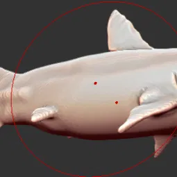 Squalicorax - Chi Cá Mập Thời Kỷ Phấn Trắng