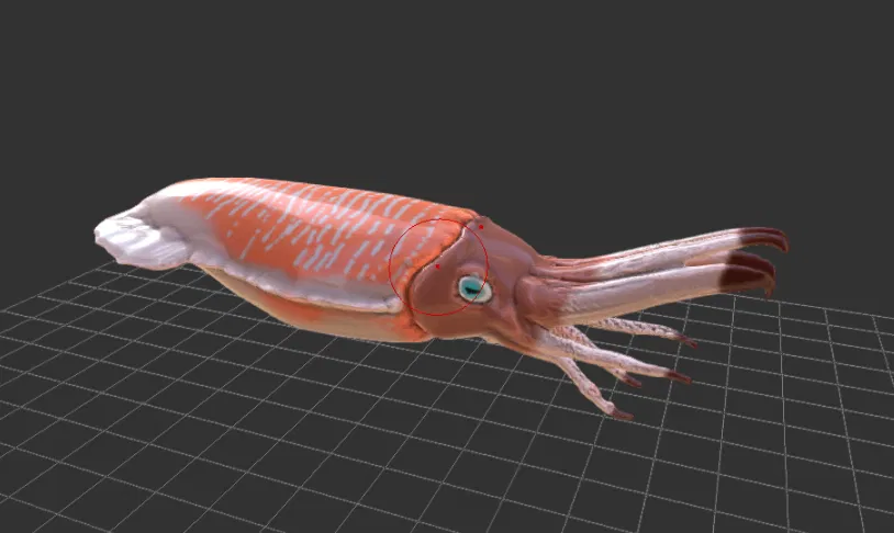 Mô hình Enchocteuthes - Image 1