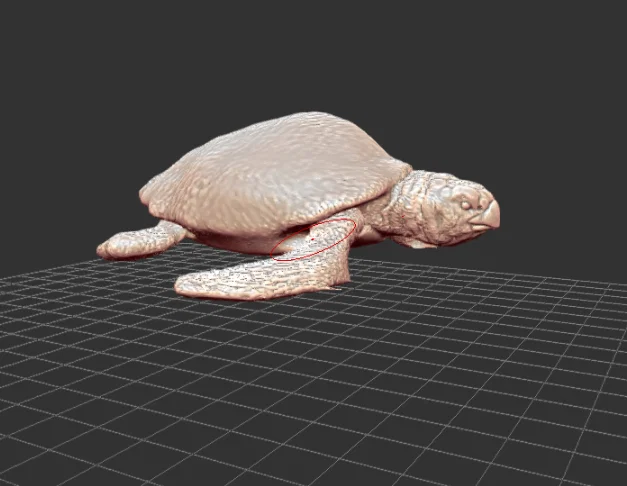 Mô hình Protostega - Image 1