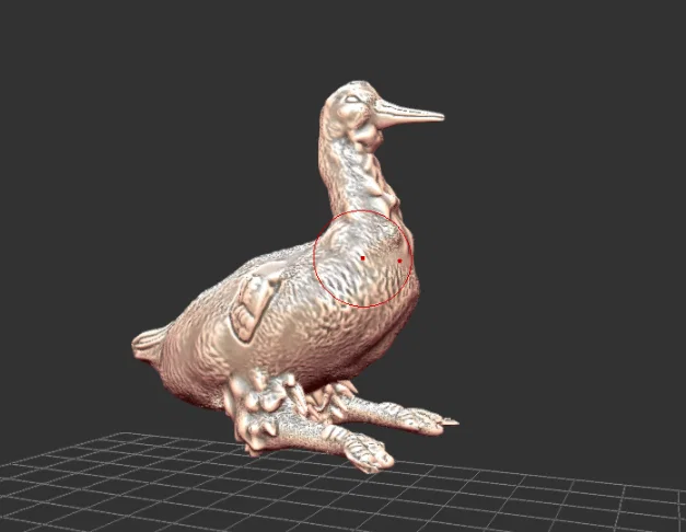 Hesperornis - Chim Biển Thời Kỷ Phấn Trắng - Image 1