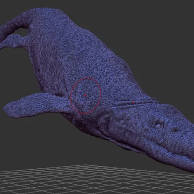 Selmasaurus