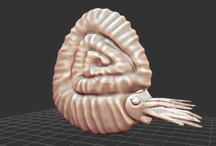 Mô hình Hóa thạch Ammonite từ kỷ Devon - Image 1