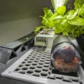 Bộ Aquaponics cho Bể Aqueon 72 Gallon Cong - Thumbnail 1