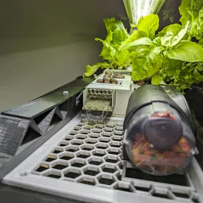 Bộ Aquaponics cho Bể Aqueon 72 Gallon Cong