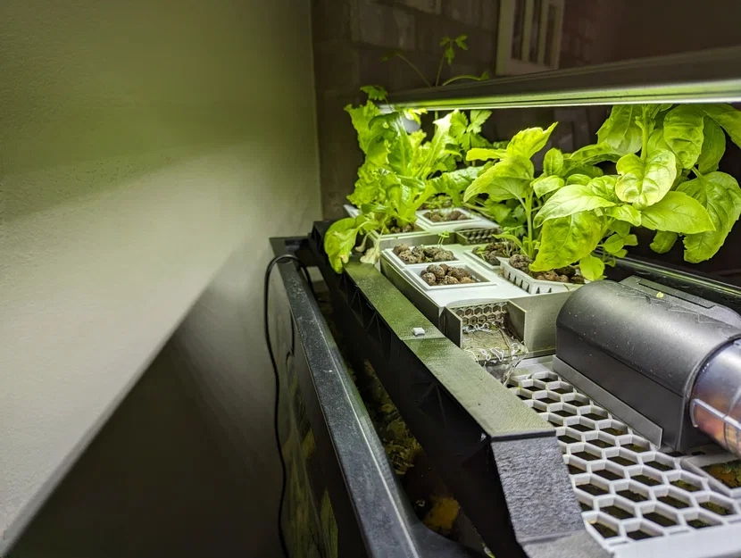 Bộ Aquaponics cho Bể Aqueon 72 Gallon Cong - Image 2