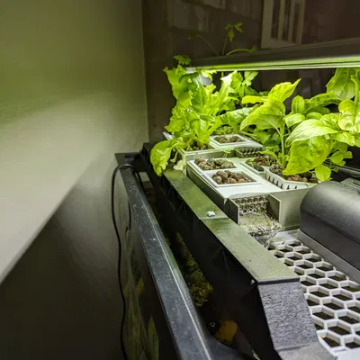 Bộ Aquaponics cho Bể Aqueon 72 Gallon Cong