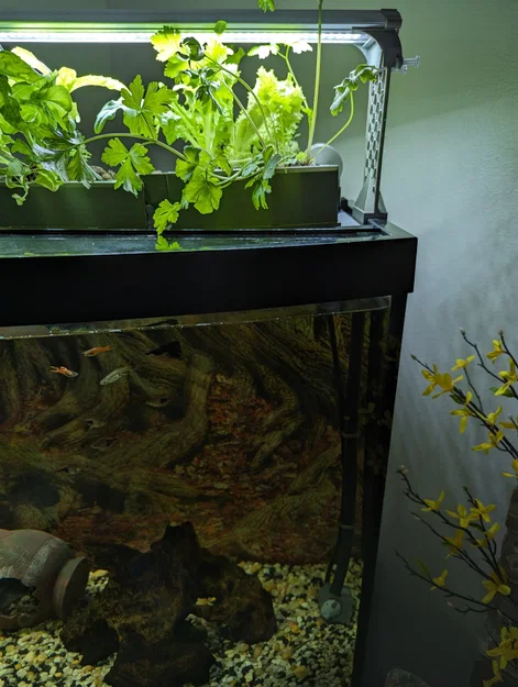 Bộ Aquaponics cho Bể Aqueon 72 Gallon Cong - Image 3