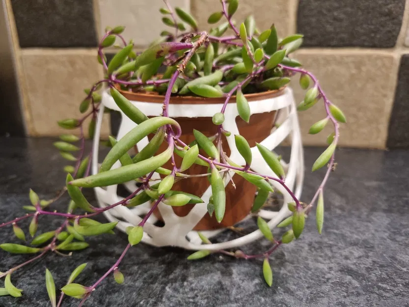 Chậu Cây Mini Kiểu Voronoi - Image 2