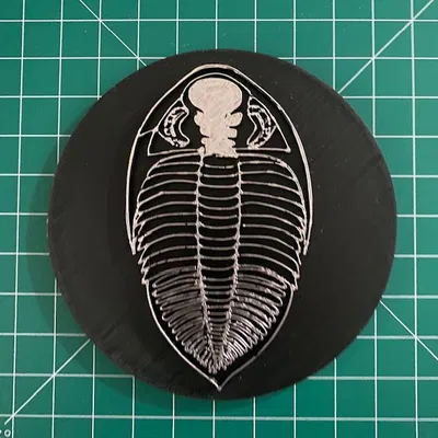 Hóa Thạch Trilobite