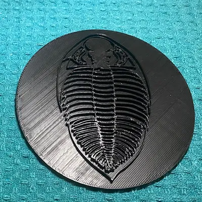 Hóa Thạch Trilobite