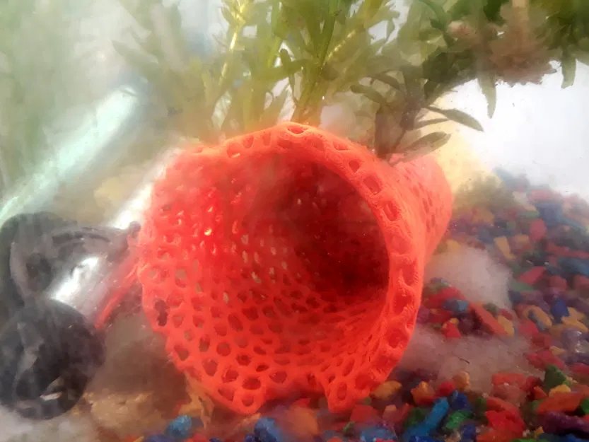 Chậu Voronoi cho Ly Thủy Tinh - Image 7