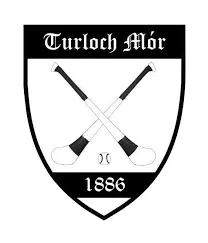 Mô Hình Tuloughmore: Đội Hurley - Image 1