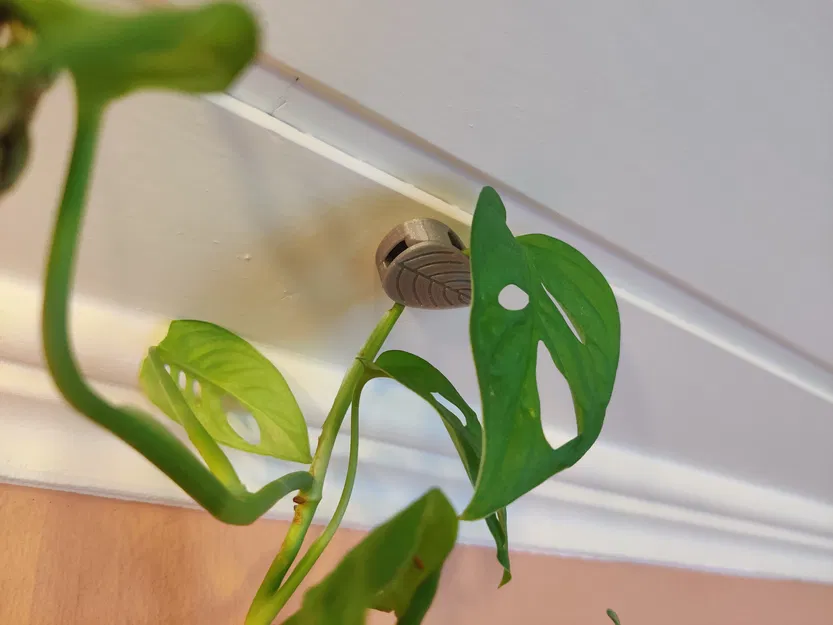 Kẹp Cây Gắn Tường/Trần Nhà - Image 1