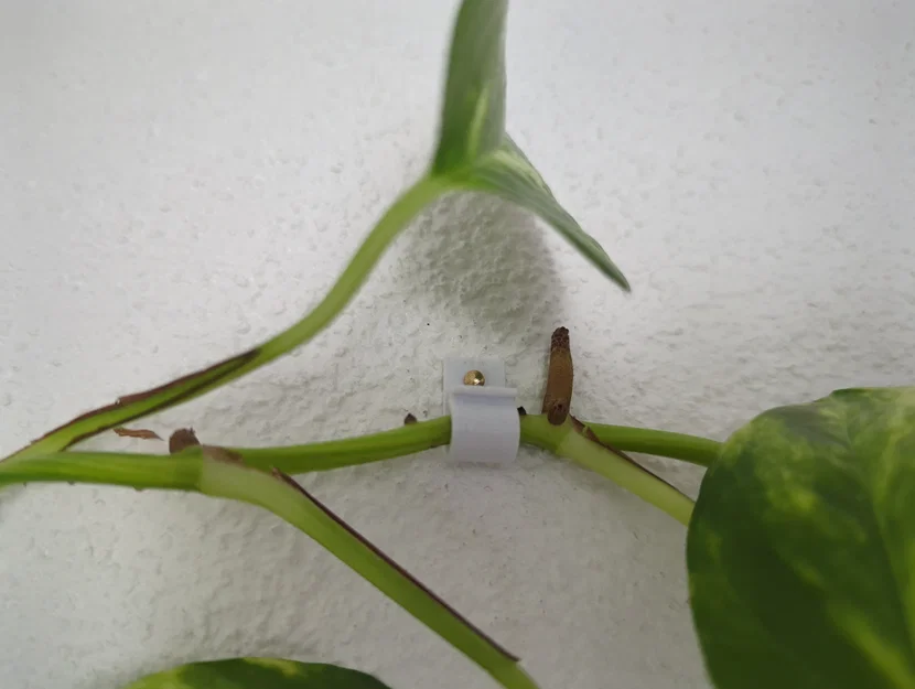 Móc Treo Tường Bo Tròn - Image 2