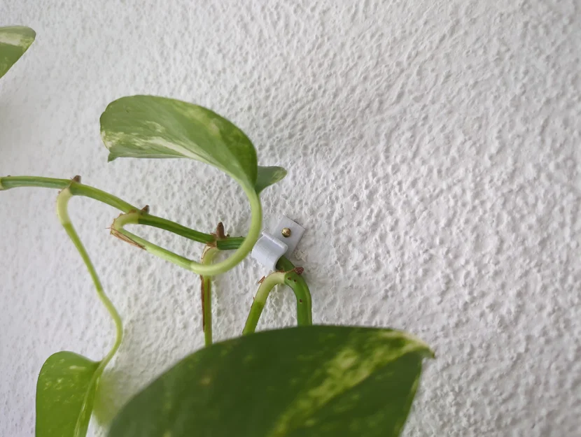 Móc Treo Tường Bo Tròn - Image 3